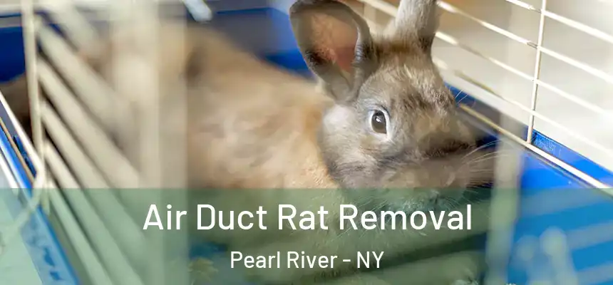 Air Duct Rat Removal Pearl River - NY