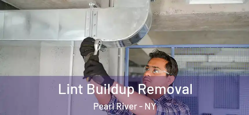  Lint Buildup Removal Pearl River - NY