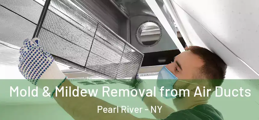 Mold & Mildew Removal from Air Ducts Pearl River - NY
