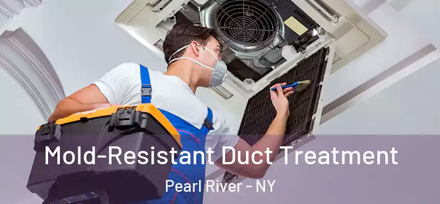 Mold-Resistant Duct Treatment Pearl River - NY
