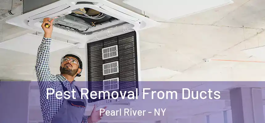  Pest Removal From Ducts Pearl River - NY