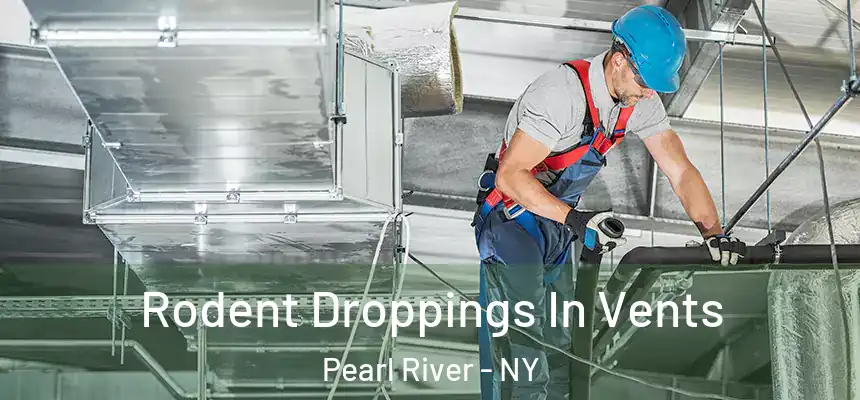 Rodent Droppings In Vents Pearl River - NY