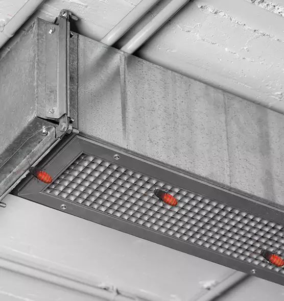 About Air Duct Cockroach Removal in Pearl River, NY