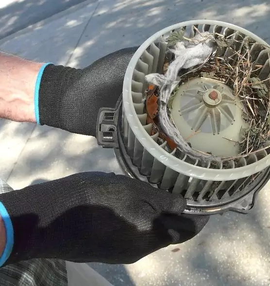 About Air Duct Mice Removal in Pearl River, NY