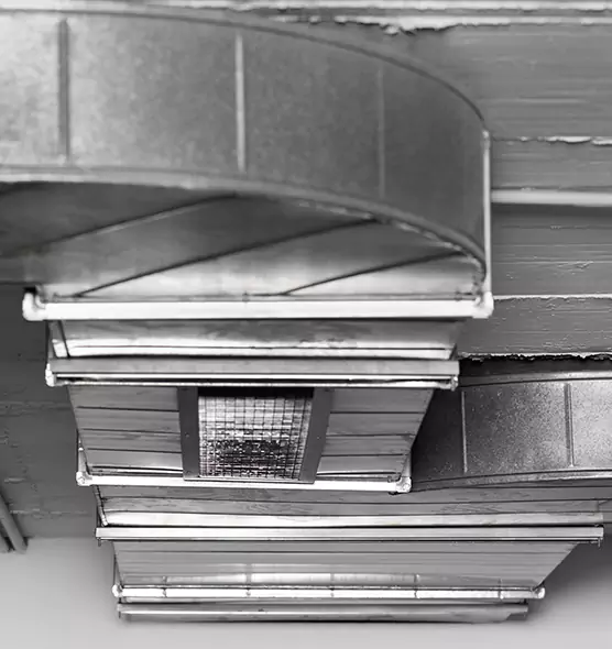 Professional Air Duct Pest Removal in Pearl River, NY