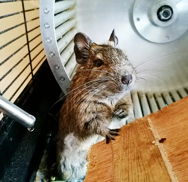 Why Homeowners & Businesses Trust Us Pearl River, NY?